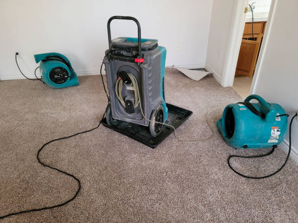 , AR Water damage restoration Company