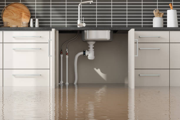 Best Sewage cleanup and water damage restoration  in Oak Grove Heights, AR