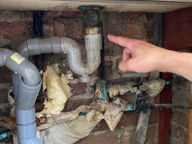 Best Flooded house restoration  in Oak Grove Heights, AR