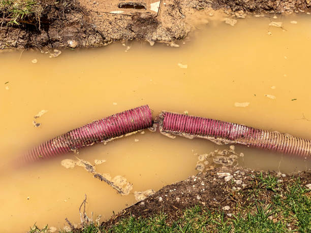 Best Water damage contractors near me  in Oak Grove Heights, AR